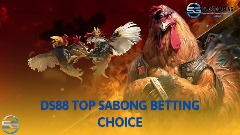 The perfect Sabong choice for Philippine bettors