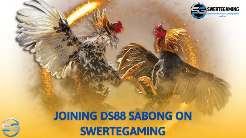 The process of entering the Sabong game lobby super simple