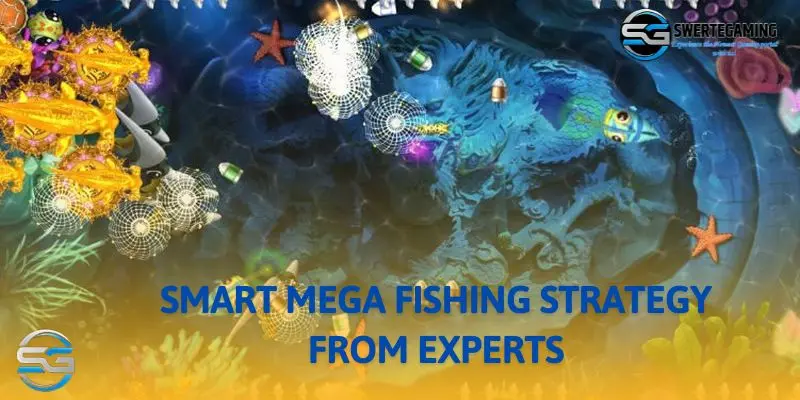 Top fishing techniques from a master with 10 years of experience