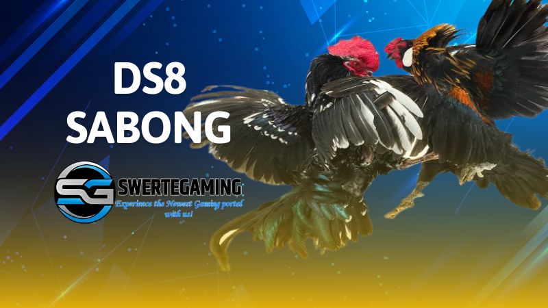 DS88 Sabong